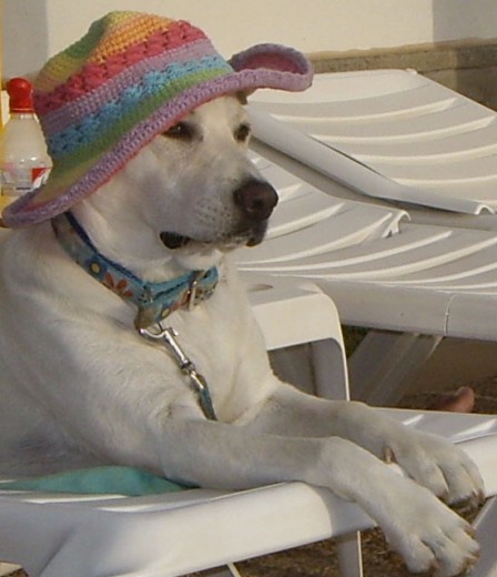 INDIA DISFRUTANDO DE SUS VACACIONES